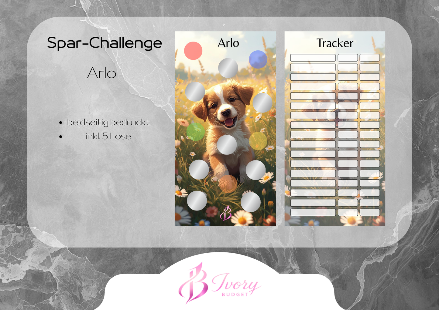 Einzelchallenge Arlo