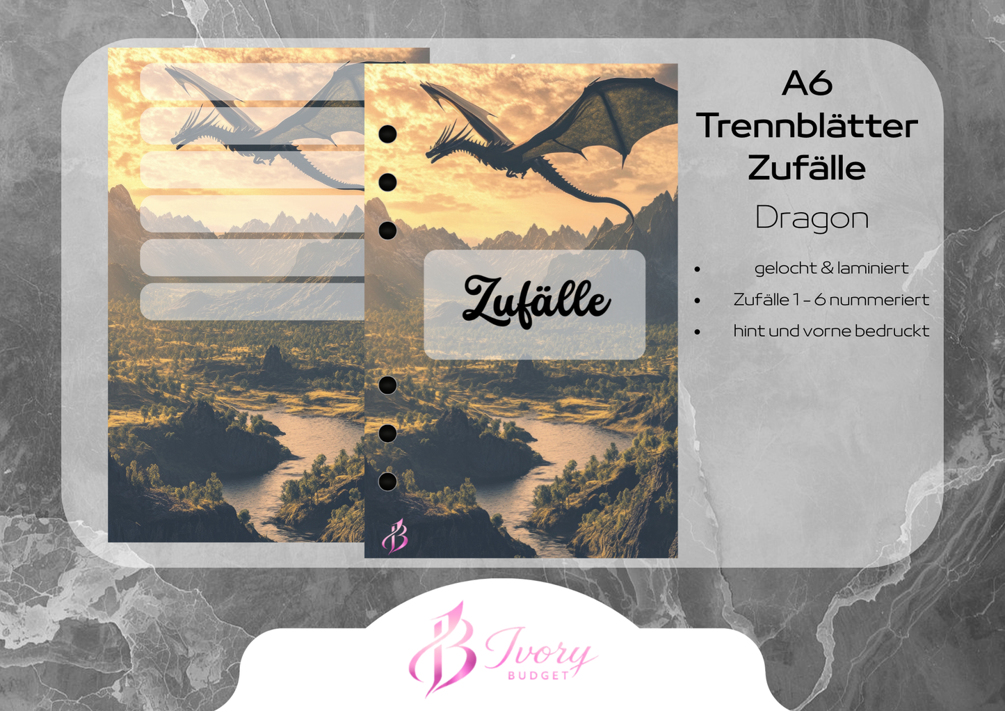 A6 Register Zufälle Dragon